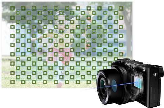 sony　α6000 APS-Cミラーレスカメラ フォーカス測距点イメージ